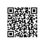 1111Y1000102KQT QRCode