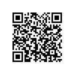 1111Y1006P80DQT QRCode