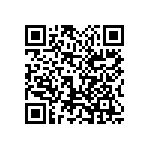 1111Y100P300HQT QRCode