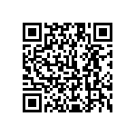 1111Y1K00101KQT QRCode