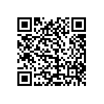 1111Y1K00131GQT QRCode