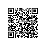 1111Y1K00160FQT QRCode