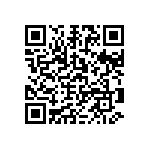 1111Y1K00430GQT QRCode