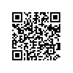 1111Y1K00910FQT QRCode