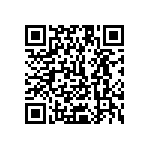 1111Y1K01P80DQT QRCode