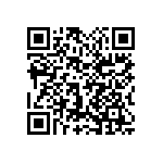 1111Y1K01P90BQT QRCode