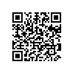 1111Y1K02P10HQT QRCode