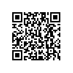 1111Y1K02P20DQT QRCode