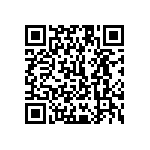 1111Y1K03P60BQT QRCode