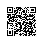 1111Y1K03P90BQT QRCode