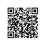 1111Y1K03P90DQT QRCode