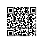 1111Y1K04P00DQT QRCode