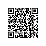 1111Y1K04P30CQT QRCode