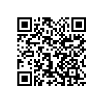 1111Y1K05P60CQT QRCode