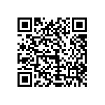 1111Y1K0P400CQT QRCode