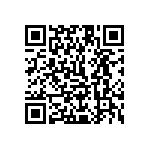 1111Y1K0P900CQT QRCode