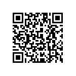 1111Y2000820KQT QRCode