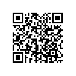 1111Y2004P00DQT QRCode