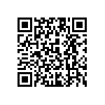 1111Y2004P30HQT QRCode