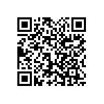 1111Y200P400BQT QRCode