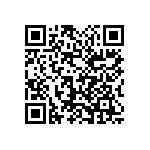 1111Y2500120FQT QRCode