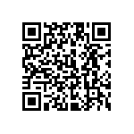 1111Y2500122KQT QRCode