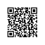 1111Y2500161KQT QRCode