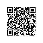 1111Y2500201GQT QRCode