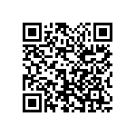 1111Y2500241GQT QRCode