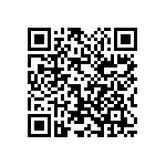 1111Y2500241KQT QRCode