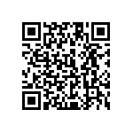 1111Y2500300KQT QRCode