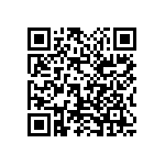 1111Y2500330FQT QRCode