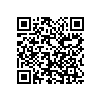 1111Y2500911GQT QRCode