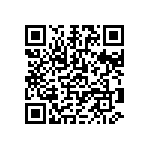 1111Y2509P10DQT QRCode