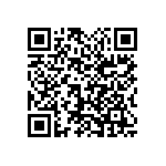 1111Y2K00120FQT QRCode