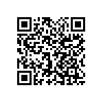 1111Y2K01P00BQT QRCode