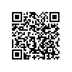 1111Y2K01P30CQT QRCode