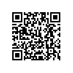 1111Y2K01P80BQT QRCode