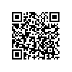 1111Y2K02P00BQT QRCode