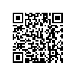 1111Y2K02P20CQT QRCode