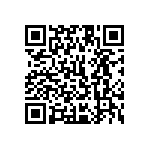 1111Y2K02P20DQT QRCode