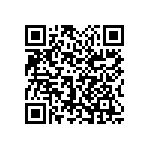 1111Y2K02P20HQT QRCode