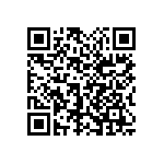 1111Y2K02P40DQT QRCode