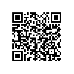 1111Y2K03P60DQT QRCode