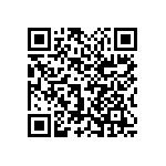 1111Y2K04P00BQT QRCode