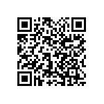 1111Y2K04P30BQT QRCode