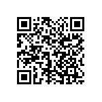 1111Y2K04P30DQT QRCode