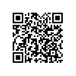 1111Y2K09P10BQT QRCode