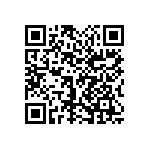 1111Y2K09P10DQT QRCode