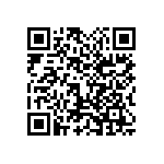 1111Y2K0P300BQT QRCode